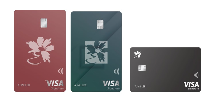 Three cards that represent the Visa<sup>®</sup> Platinum designs